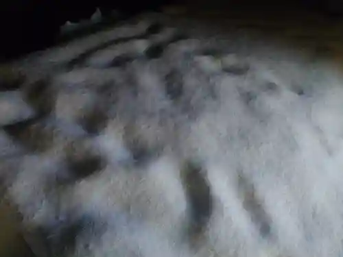 大神山神社奥宮(鳥取県)