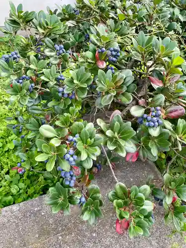 杉森稲荷(東京都)