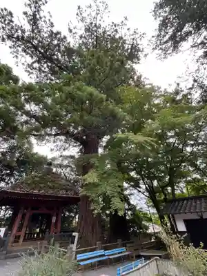 宝城坊(神奈川県)