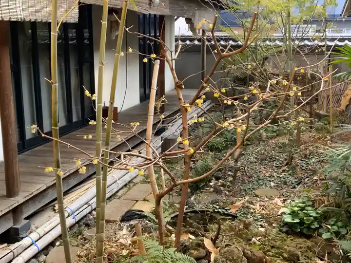 遠照山 光明寺(尼崎大仏)(兵庫県)