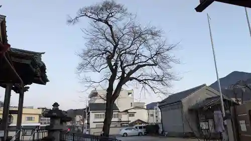 秩父札所十三番 慈眼寺の自然