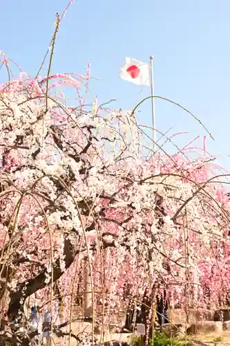 防府天満宮(山口県)