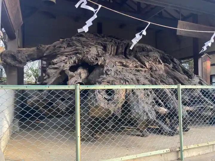 八坂神社(神奈川県)