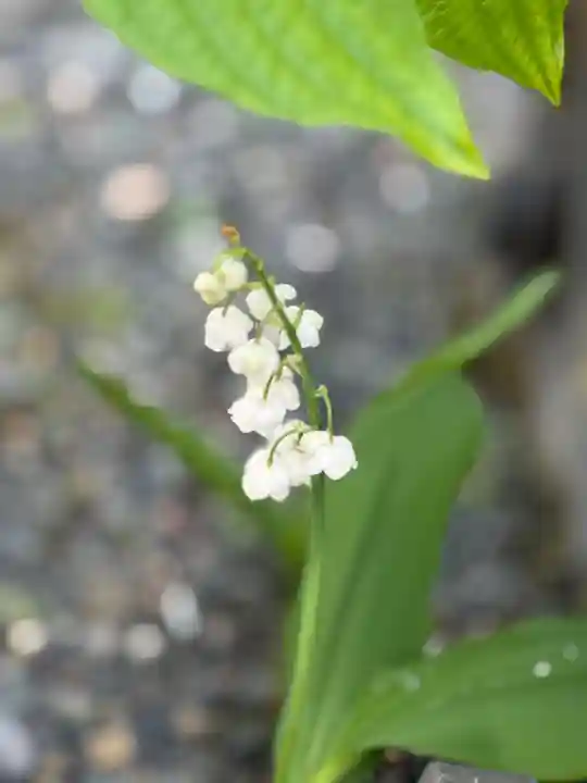 西方山極楽寺(岐阜県)