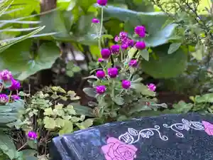 円通寺のその他建物(2021年08月23日(月) 19時52分34秒投稿)