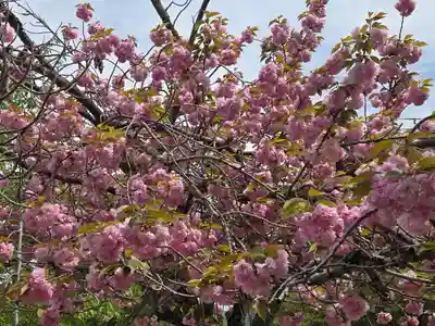 天神社(奈良県)