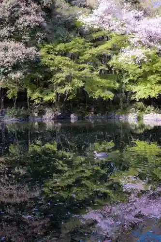 富士山本宮浅間大社の動物