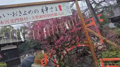 賀茂御祖神社（下鴨神社）(京都府)