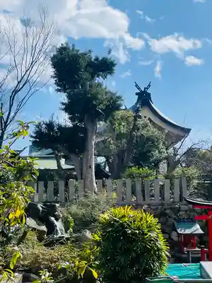 難波大社　生國魂神社(大阪府)