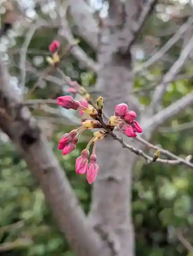 潮田神社(神奈川県)