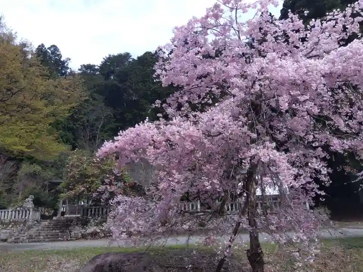熊野神社(京都府)