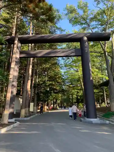 北海道神宮の鳥居