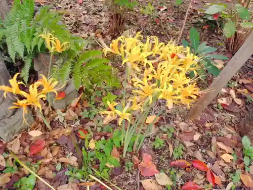 常泉寺(神奈川県)