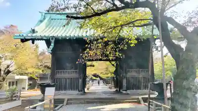 祐天寺の山門・神門