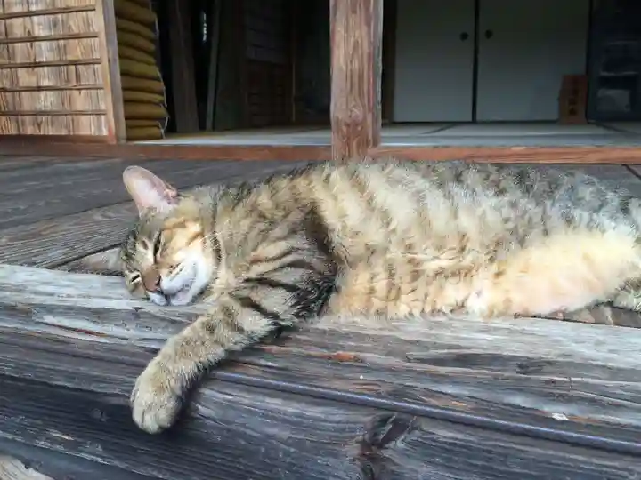 富貴寺(大分県)