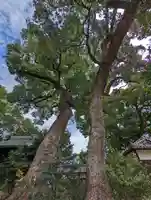 常磐神社(京都府)