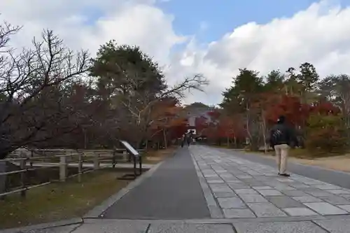 仁和寺の庭園