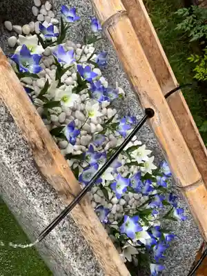 晴明神社の手水舎