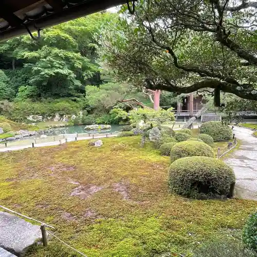 青蓮院門跡の庭園