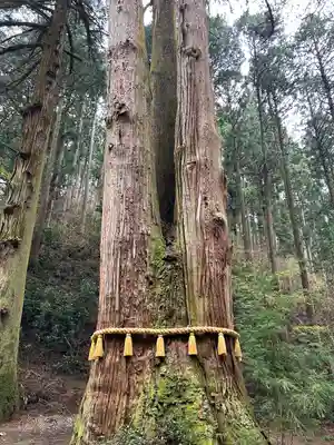 御岩神社(茨城県)