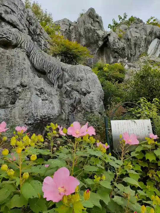 金生山 明星輪寺の自然