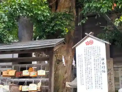 英賀神社の自然