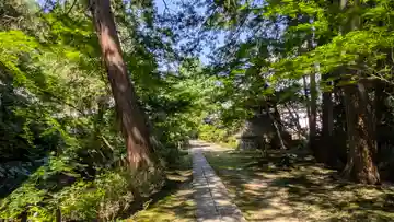 龍潭寺(京都府)