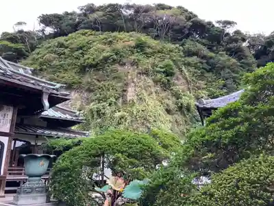 安養院　(田代寺）(神奈川県)