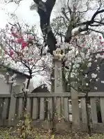 素盞雄神社の{uncategorized: "未分類", other: "その他", undefined: "問題あり", building: "その他建物", grave: "お墓", sacred_gate: "鳥居", guardian: "狛犬", statue: "像", buddha: "仏像", history: "歴史", nature: "自然", garden: "庭園", animal: "動物", pagoda: "塔", temizu: "手水舎", mountain_gate: "山門・神門", sanctuary: "本殿・本堂", subordinate: "末社・摂社", art: "芸術", scenery: "景色", jizo: "地蔵", ema: "絵馬", goshuin: "御朱印", omikuji: "おみくじ", items: "授与品その他", amulet: "お守り", goshuincho: "御朱印帳", eats: "食事", festival: "お祭り", votive_dance: "神楽", shichigosan: "七五三参", wedding: "結婚式", experience: "体験その他", initially: "初詣", around: "周辺", anti_infection: "感染症対策"}