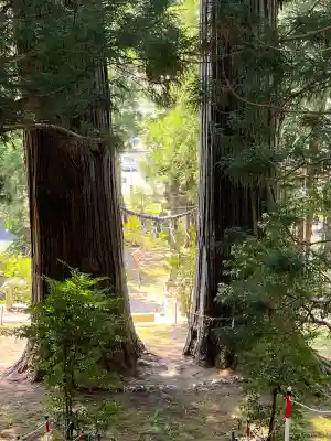 夏井諏訪神社(福島県)