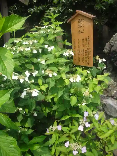 御霊神社の自然