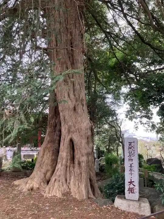 善養寺(善養密寺)(東京都)