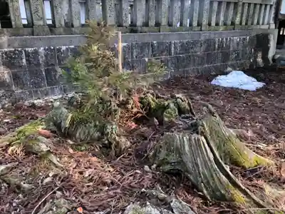 杉原神社(富山県)