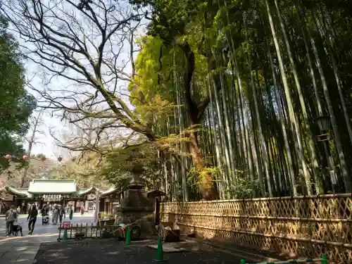 大宮八幡宮の{uncategorized: "未分類", other: "その他", undefined: "問題あり", building: "その他建物", grave: "お墓", sacred_gate: "鳥居", guardian: "狛犬", statue: "像", buddha: "仏像", history: "歴史", nature: "自然", garden: "庭園", animal: "動物", pagoda: "塔", temizu: "手水舎", mountain_gate: "山門・神門", sanctuary: "本殿・本堂", subordinate: "末社・摂社", art: "芸術", scenery: "景色", jizo: "地蔵", ema: "絵馬", goshuin: "御朱印", omikuji: "おみくじ", items: "授与品その他", amulet: "お守り", goshuincho: "御朱印帳", eats: "食事", festival: "お祭り", votive_dance: "神楽", shichigosan: "七五三参", wedding: "結婚式", experience: "体験その他", initially: "初詣", around: "周辺", anti_infection: "感染症対策"}