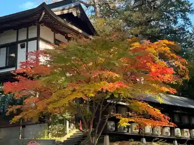 新海三社神社(長野県)