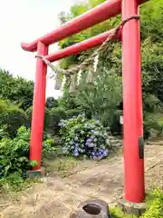 羽黒神社(宮城県)