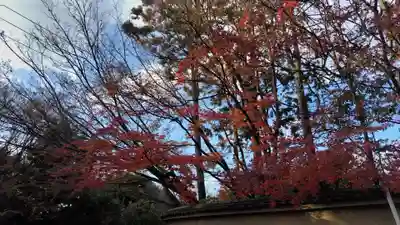 霊源院(京都府)