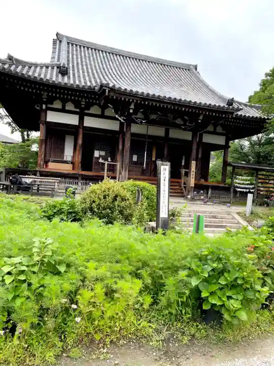 般若寺 ❁コスモス寺❁(奈良県)