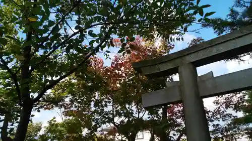 稗田野神社(薭田野神社)の鳥居