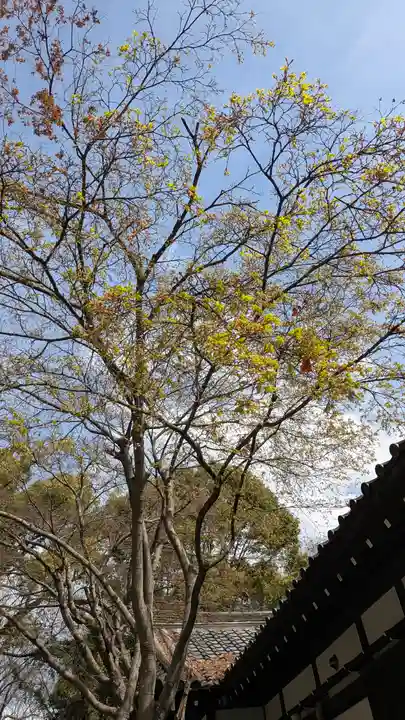 水無瀬神宮(大阪府)