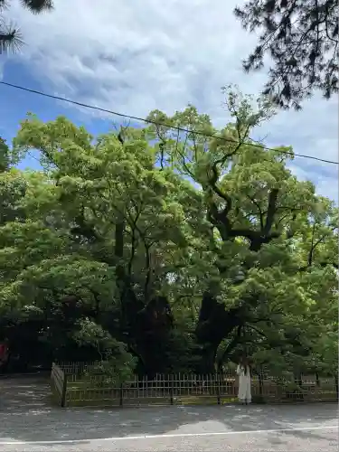 浜松八幡宮(静岡県)