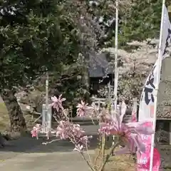 高司神社〜むすびの神の鎮まる社〜の自然