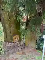 流谷八幡神社(大阪府)