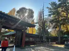 根津神社(東京都)