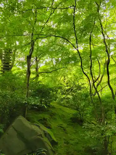 光明寺瑠璃光院(京都府)