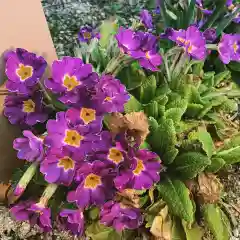 豊景神社の自然