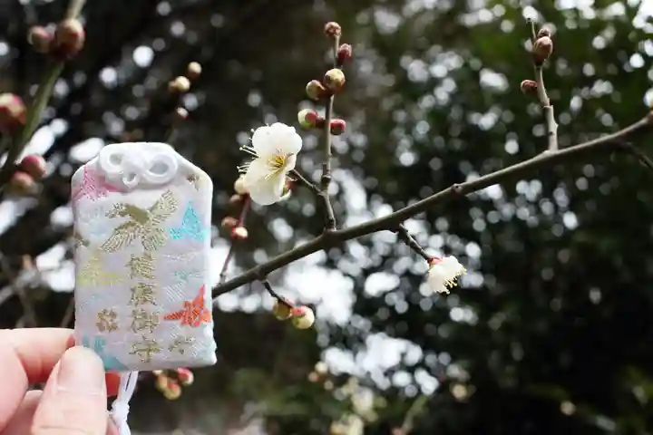くまくま神社(導きの社 熊野町熊野神社)の鳥居