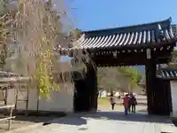 醍醐寺(京都府)