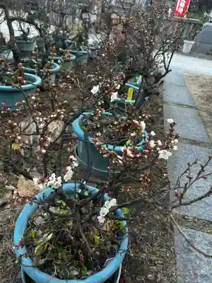 蒲田神社(大阪府)