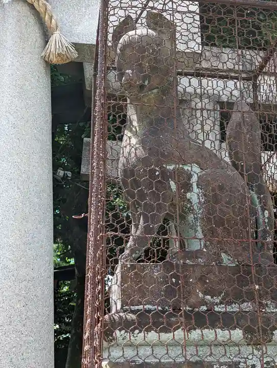 武信稲荷神社の狛犬